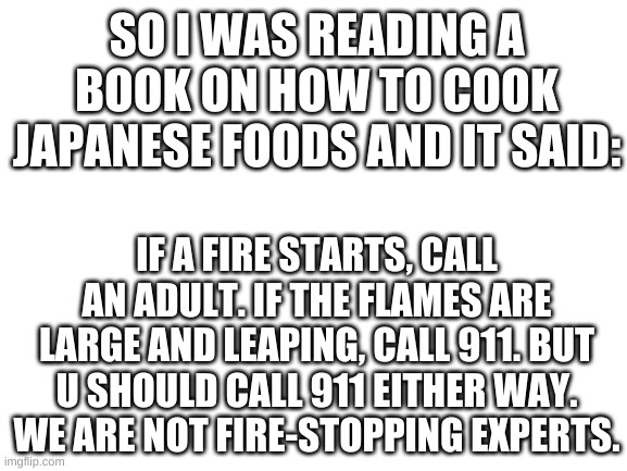 ahem, i dO NOT WANT TO BE A FIREFIGHTER, IT IS DANGEROUS!!! | SO I WAS READING A BOOK ON HOW TO COOK JAPANESE FOODS AND IT SAID:; IF A FIRE STARTS, CALL AN ADULT. IF THE FLAMES ARE LARGE AND LEAPING, CALL 911. BUT U SHOULD CALL 911 EITHER WAY. WE ARE NOT FIRE-STOPPING EXPERTS. | image tagged in blank white template,japan,fire | made w/ Imgflip meme maker
