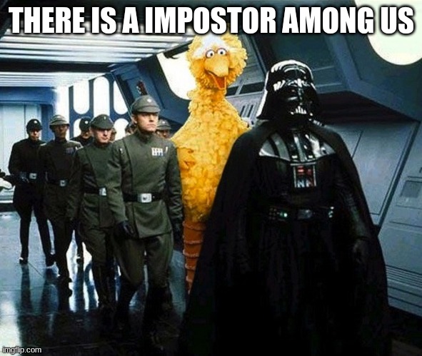 vader big bird | THERE IS A IMPOSTOR AMONG US | image tagged in vader big bird,among us,star wars | made w/ Imgflip meme maker