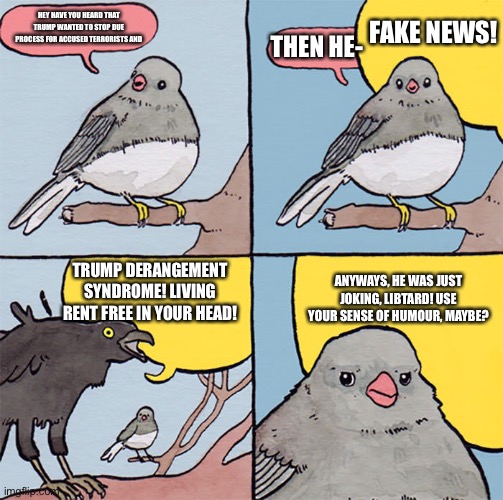 Interrupting bird | FAKE NEWS! HEY HAVE YOU HEARD THAT TRUMP WANTED TO STOP DUE PROCESS FOR ACCUSED TERRORISTS AND; THEN HE-; TRUMP DERANGEMENT SYNDROME! LIVING RENT FREE IN YOUR HEAD! ANYWAYS, HE WAS JUST JOKING, LIBTARD! USE YOUR SENSE OF HUMOUR, MAYBE? | image tagged in interrupting bird | made w/ Imgflip meme maker