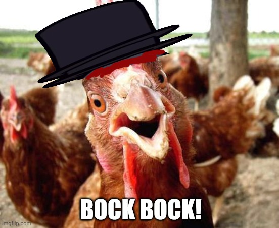 Chicken | BOCK BOCK! | image tagged in chicken | made w/ Imgflip meme maker