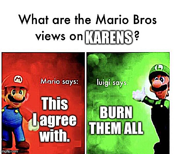 Karens | KARENS; This I agree with. BURN THEM ALL | image tagged in mario bros views | made w/ Imgflip meme maker