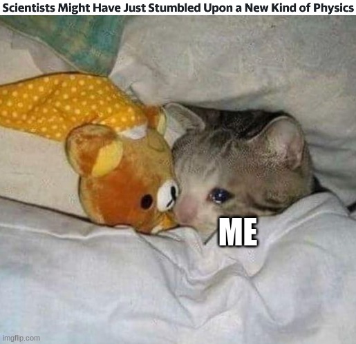 *cries in cat* | ME | image tagged in crying cat,school | made w/ Imgflip meme maker