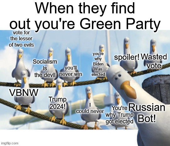 When they find out you're Green Party; you're why Biden Was elected; spoiler! Russian Bot! You're why Trump got elected | image tagged in nemo seagulls mine,green party | made w/ Imgflip meme maker