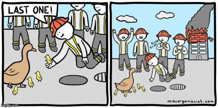 The ducks were saved....buttttt.....(can I have mod here also?) | image tagged in memes,funny,comics,ducks,fire,dark humor | made w/ Imgflip meme maker
