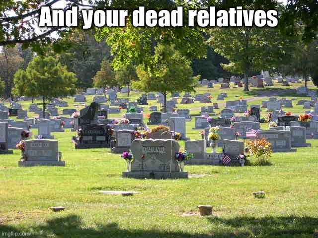 cemetery | And your dead relatives | image tagged in cemetery | made w/ Imgflip meme maker