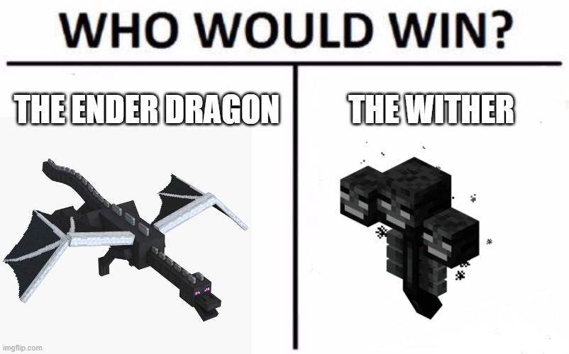 My money is on the enderdragon - Imgflip
