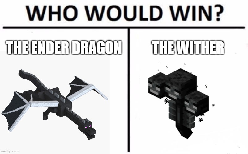 My money is on the enderdragon | THE ENDER DRAGON; THE WITHER | image tagged in memes,who would win | made w/ Imgflip meme maker