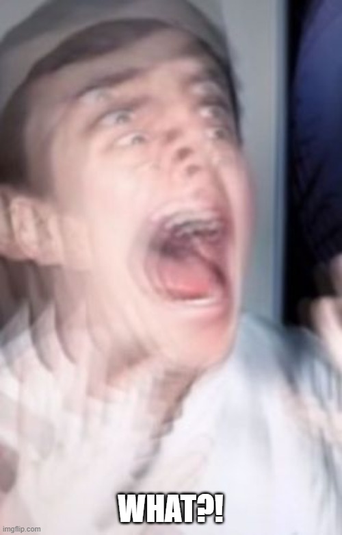 Freaking out | WHAT?! | image tagged in freaking out | made w/ Imgflip meme maker