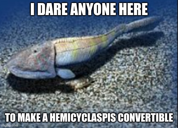 if you do you get a free follow | I DARE ANYONE HERE; TO MAKE A HEMICYCLASPIS CONVERTIBLE | image tagged in hemicyclaspis | made w/ Imgflip meme maker