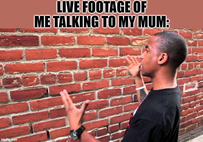 Man talking to wall | LIVE FOOTAGE OF ME TALKING TO MY MUM: | image tagged in man talking to wall | made w/ Imgflip meme maker