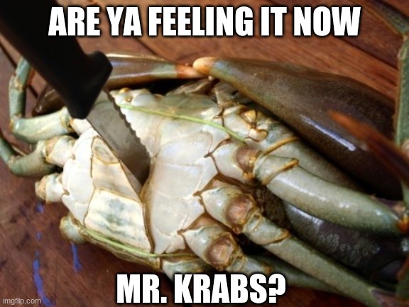 sdfgbnvcdf | ARE YA FEELING IT NOW; MR. KRABS? | image tagged in spongebob | made w/ Imgflip meme maker