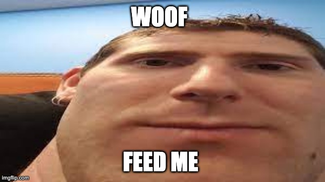 feeeed me | WOOF; FEED ME | image tagged in linus,sebastian,feed me,pls | made w/ Imgflip meme maker