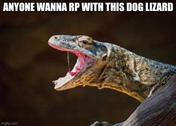 anyone? | ANYONE WANNA RP WITH THIS DOG LIZARD | image tagged in lizard,dog | made w/ Imgflip meme maker