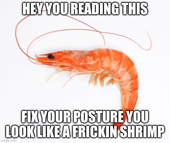 HEY YOU READING THIS; FIX YOUR POSTURE YOU LOOK LIKE A FRICKIN SHRIMP | made w/ Imgflip meme maker