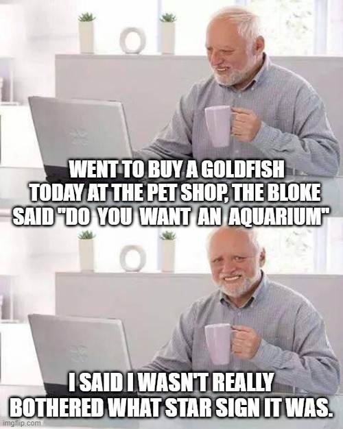 Hide the Pain Harold | WENT TO BUY A GOLDFISH TODAY AT THE PET SHOP, THE BLOKE SAID "DO  YOU  WANT  AN  AQUARIUM"; I SAID I WASN'T REALLY BOTHERED WHAT STAR SIGN IT WAS. | image tagged in memes,hide the pain harold | made w/ Imgflip meme maker