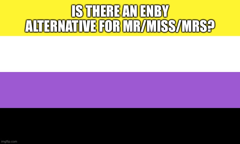 Nonbinary | IS THERE AN ENBY ALTERNATIVE FOR MR/MISS/MRS? | image tagged in nonbinary | made w/ Imgflip meme maker