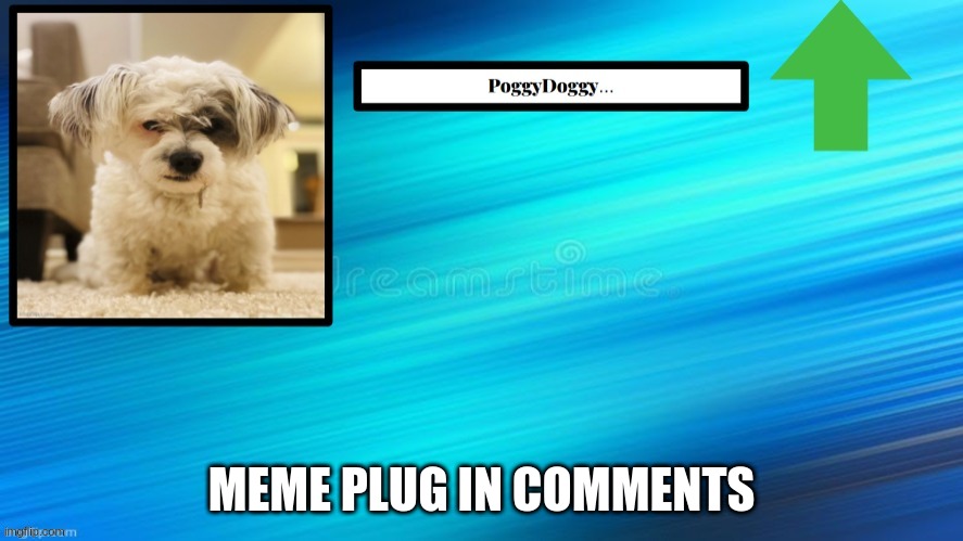 MEME PLUG IN COMMENTS | image tagged in poggydoggy temp | made w/ Imgflip meme maker