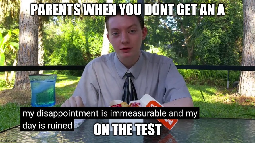 My Disappointment Is Immeasurable | PARENTS WHEN YOU DONT GET AN A; ON THE TEST | image tagged in my disappointment is immeasurable | made w/ Imgflip meme maker