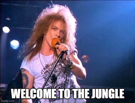 Welcome to the Jungle | WELCOME TO THE JUNGLE | image tagged in welcome to the jungle | made w/ Imgflip meme maker