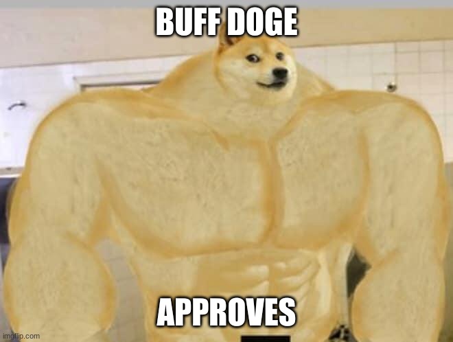 Buff Doge | BUFF DOGE APPROVES | image tagged in buff doge | made w/ Imgflip meme maker