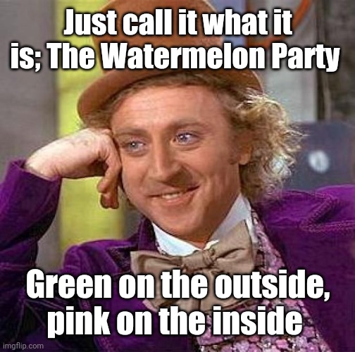 Creepy Condescending Wonka Meme | Just call it what it is; The Watermelon Party Green on the outside, pink on the inside | image tagged in memes,creepy condescending wonka | made w/ Imgflip meme maker