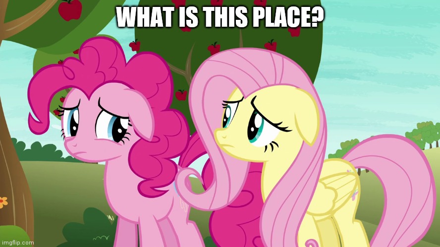 WHAT IS THIS PLACE? | made w/ Imgflip meme maker