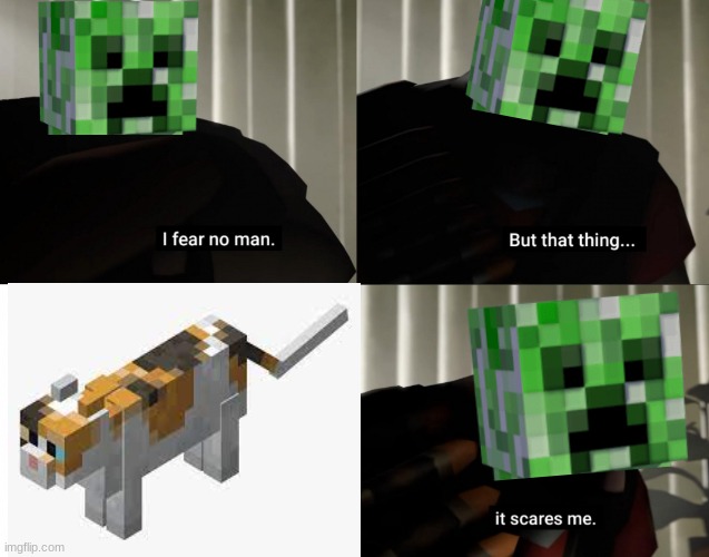 Most Minecraft Players Know About This | image tagged in i fear no man but that thing it scares me,minecraft,minecraft creeper | made w/ Imgflip meme maker