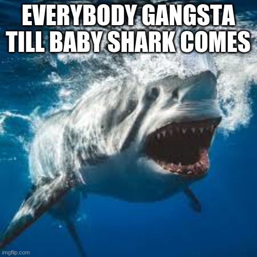 Mommy shark do do do do do | EVERYBODY GANGSTA TILL BABY SHARK COMES | image tagged in mommy shark do do do do do | made w/ Imgflip meme maker