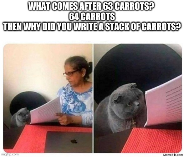 a stack of carrots | WHAT COMES AFTER 63 CARROTS? 
64 CARROTS
THEN WHY DID YOU WRITE A STACK OF CARROTS? | image tagged in what come after,minecraft | made w/ Imgflip meme maker