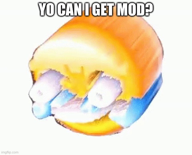 e | YO CAN I GET MOD? | image tagged in laughing emoji | made w/ Imgflip meme maker