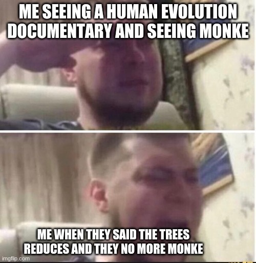 Crying salute | ME SEEING A HUMAN EVOLUTION DOCUMENTARY AND SEEING MONKE; ME WHEN THEY SAID THE TREES REDUCES AND THEY NO MORE MONKE | image tagged in crying salute | made w/ Imgflip meme maker