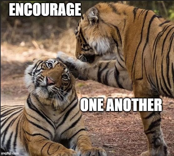 ENCOURAGE; ONE ANOTHER | made w/ Imgflip meme maker