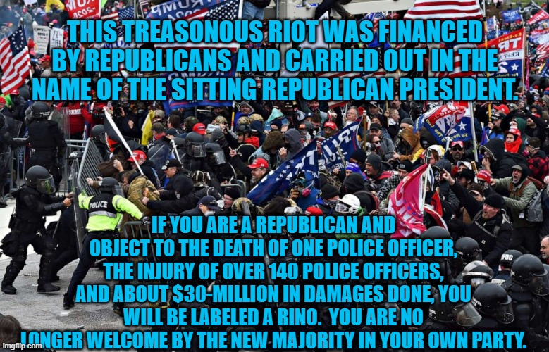 In The Land Of RINOs, The Traitor Is King. | THIS TREASONOUS RIOT WAS FINANCED BY REPUBLICANS AND CARRIED OUT IN THE NAME OF THE SITTING REPUBLICAN PRESIDENT. IF YOU ARE A REPUBLICAN AND OBJECT TO THE DEATH OF ONE POLICE OFFICER, THE INJURY OF OVER 140 POLICE OFFICERS, AND ABOUT $30-MILLION IN DAMAGES DONE, YOU WILL BE LABELED A RINO.  YOU ARE NO LONGER WELCOME BY THE NEW MAJORITY IN YOUR OWN PARTY. | image tagged in politics | made w/ Imgflip meme maker