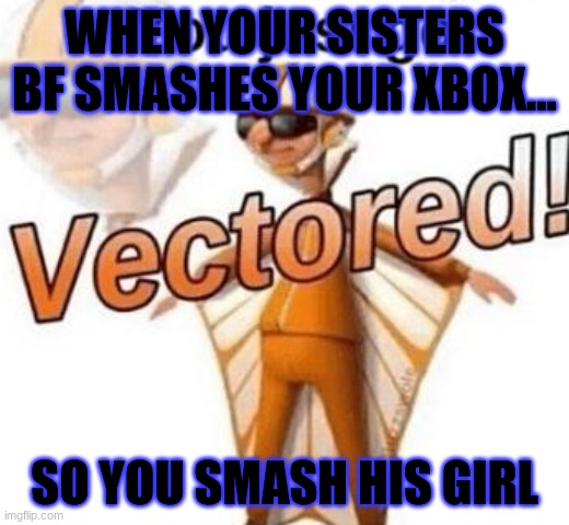 You just got vectored | WHEN YOUR SISTERS BF SMASHES YOUR XBOX... SO YOU SMASH HIS GIRL | image tagged in you just got vectored | made w/ Imgflip meme maker