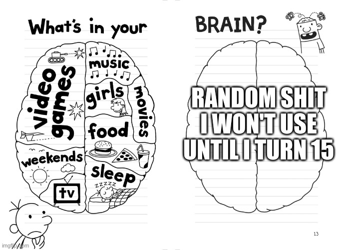 don't ask | RANDOM SHIT I WON'T USE UNTIL I TURN 15 | image tagged in diary of a wimpy kid brain | made w/ Imgflip meme maker