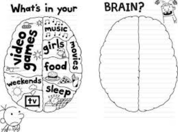 whats in your brain? | image tagged in whats in your brain | made w/ Imgflip meme maker