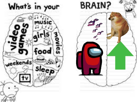 whats in your brain? | image tagged in whats in your brain | made w/ Imgflip meme maker