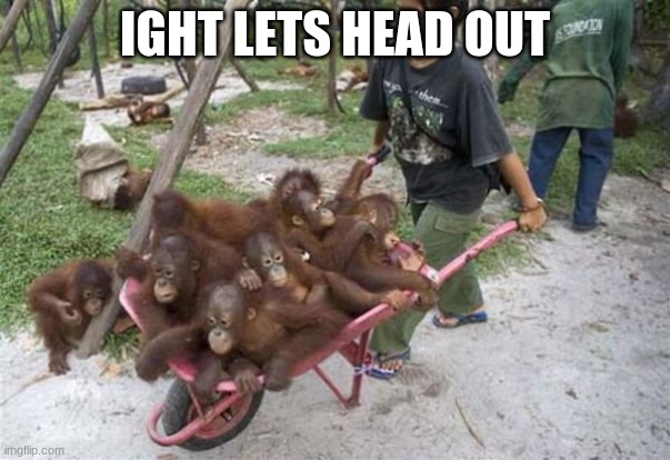 Monkies | IGHT LETS HEAD OUT | image tagged in monkies | made w/ Imgflip meme maker