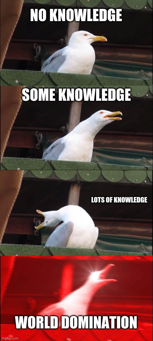 Inhaling Seagull | NO KNOWLEDGE; SOME KNOWLEDGE; LOTS OF KNOWLEDGE; WORLD DOMINATION | image tagged in memes,inhaling seagull | made w/ Imgflip meme maker