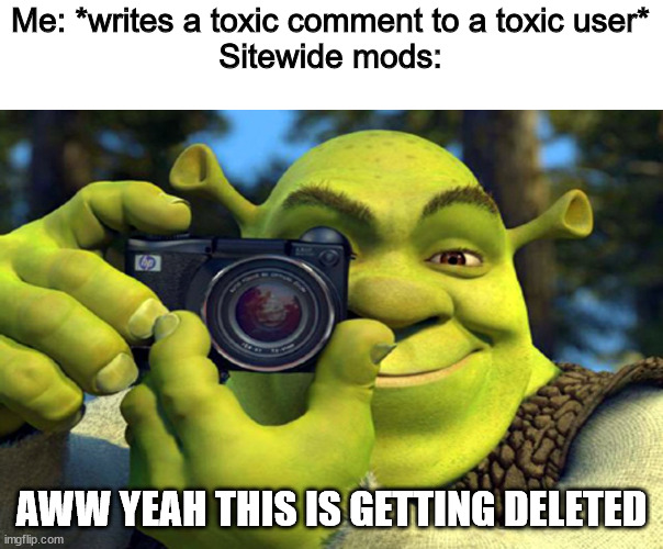 :) | Me: *writes a toxic comment to a toxic user*
Sitewide mods:; AWW YEAH THIS IS GETTING DELETED | image tagged in shrek camera | made w/ Imgflip meme maker