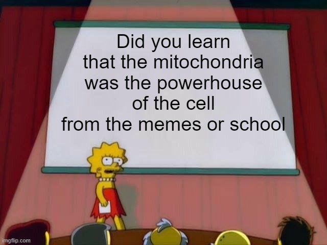 Lisa Simpson's Presentation |  Did you learn that the mitochondria was the powerhouse of the cell from the memes or school | image tagged in lisa simpson's presentation,memes | made w/ Imgflip meme maker