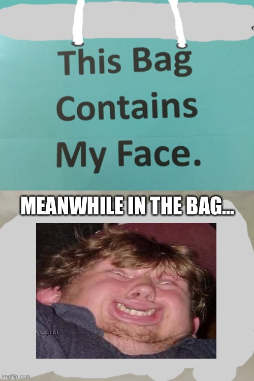 This Bag Contains My Face. Meanwhile in the bag... | MEANWHILE IN THE BAG... | image tagged in bag,funny face,but it was me dio,apples,hi,fun | made w/ Imgflip meme maker