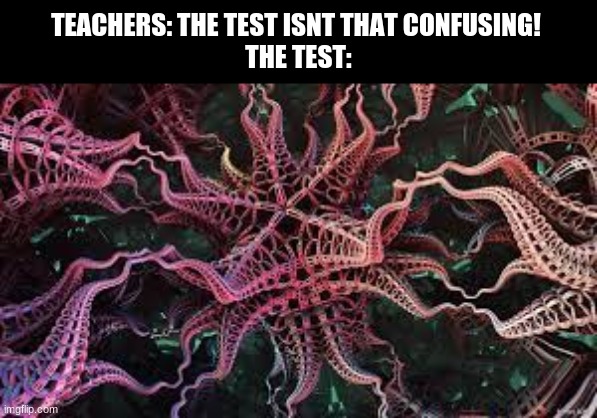 TEACHERS: THE TEST ISNT THAT CONFUSING! 
THE TEST: | image tagged in funny | made w/ Imgflip meme maker