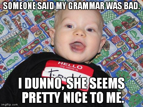 SOMEONE SAID MY GRAMMAR WAS BAD. I DUNNO, SHE SEEMS PRETTY NICE TO ME. | made w/ Imgflip meme maker