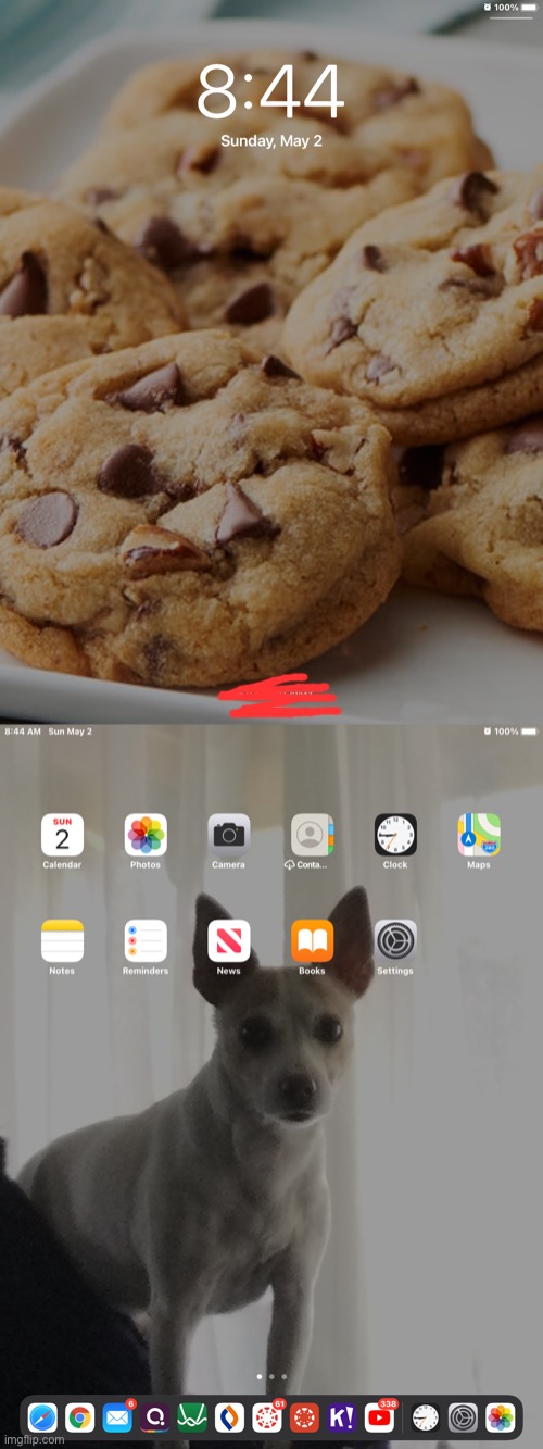I approve trend... WHAT MY IPAD LOOKS LIKE | made w/ Imgflip meme maker