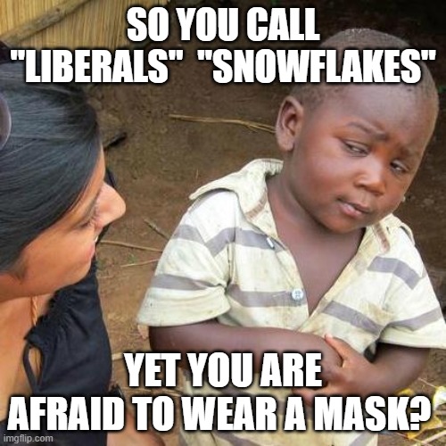 Third World Skeptical Kid | SO YOU CALL "LIBERALS"  "SNOWFLAKES"; YET YOU ARE AFRAID TO WEAR A MASK? | image tagged in memes,third world skeptical kid,covidiots,wear a mask,politics,snowflakes | made w/ Imgflip meme maker