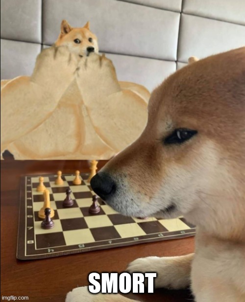 Buff Doge vs Smort Cheems | SMORT | image tagged in buff doge vs smort cheems | made w/ Imgflip meme maker