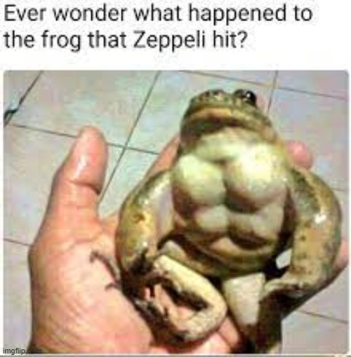 He's ripped | image tagged in frog,jojo's bizarre adventure,anime | made w/ Imgflip meme maker