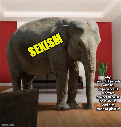 Elephant In The Room | SEXISM why, yes, this person with no experience is a better choice: Because he is MALE.
And also made of plastic! | image tagged in elephant in the room | made w/ Imgflip meme maker