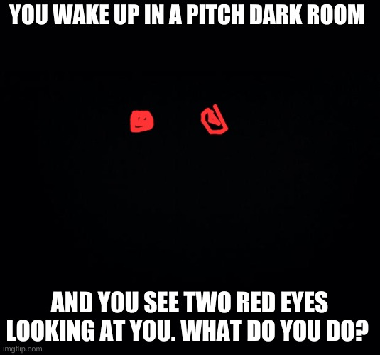 Black background | YOU WAKE UP IN A PITCH DARK ROOM; AND YOU SEE TWO RED EYES LOOKING AT YOU. WHAT DO YOU DO? | image tagged in black background | made w/ Imgflip meme maker